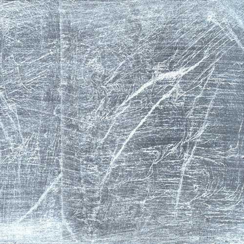 Foglia argento